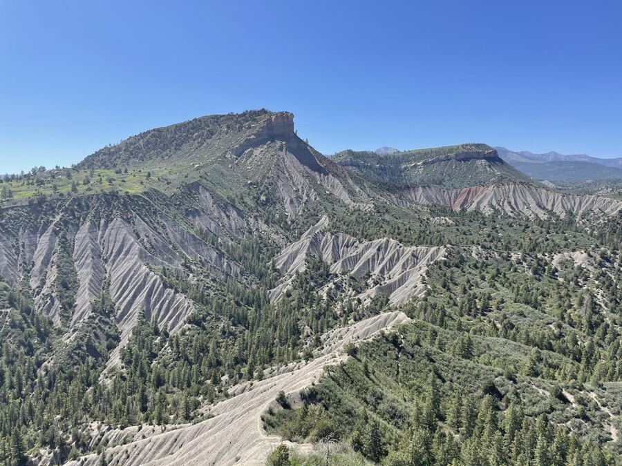 Eroded grey slopes and green forest below a flat-topped peak